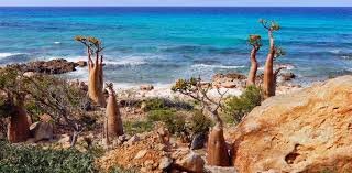 یک جزیره مرموز در عصر مدرن | جزیرهای که هرگز کسی در آن زندگی نکرده است!