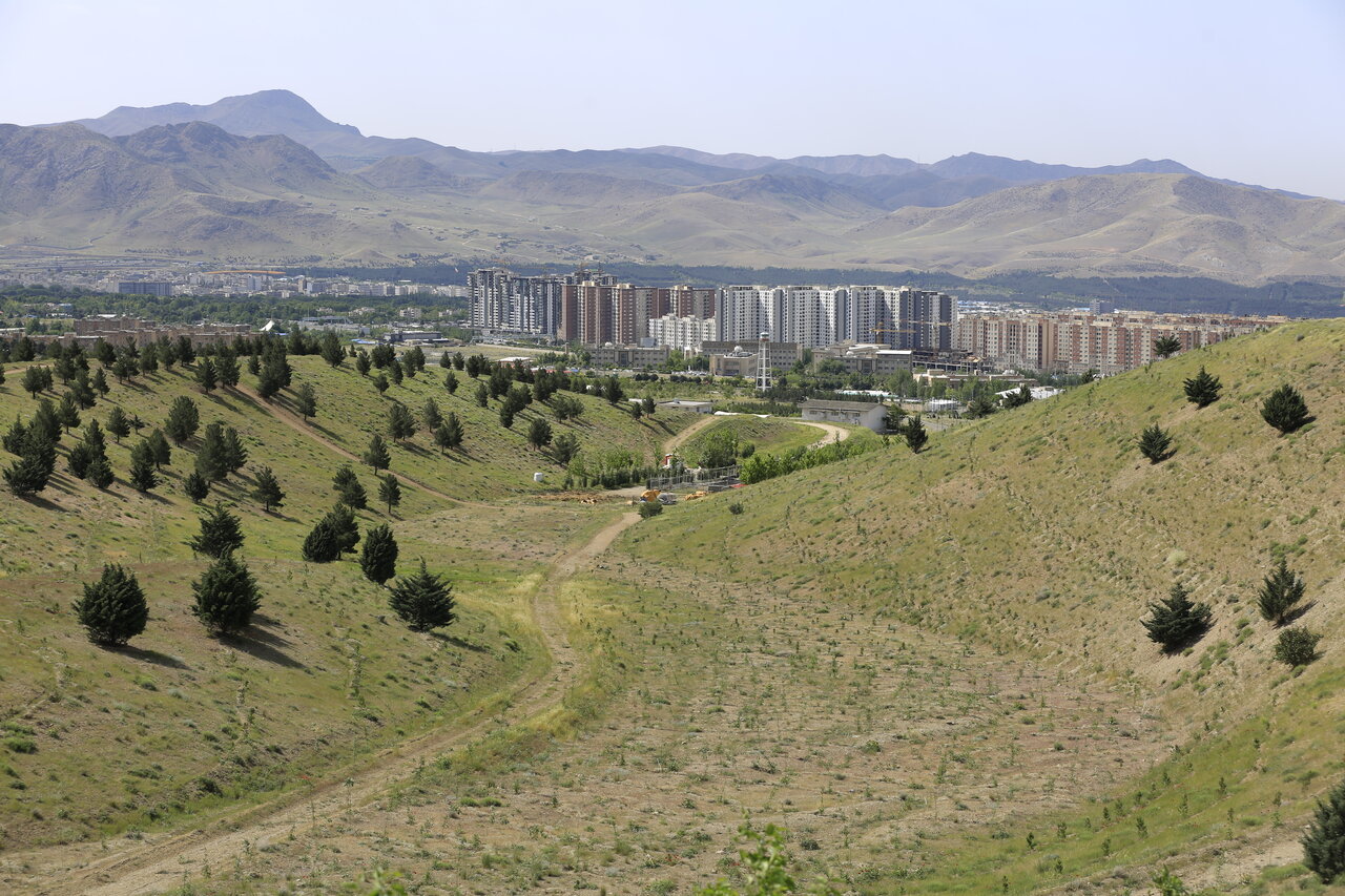 کمربند سبز- تلو