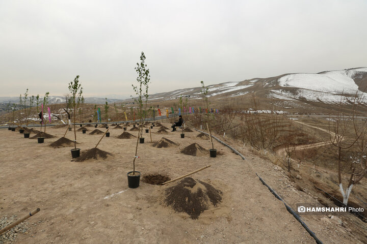افتتاح کمربند سبز تهران باحضور قالیباف و زاکانی