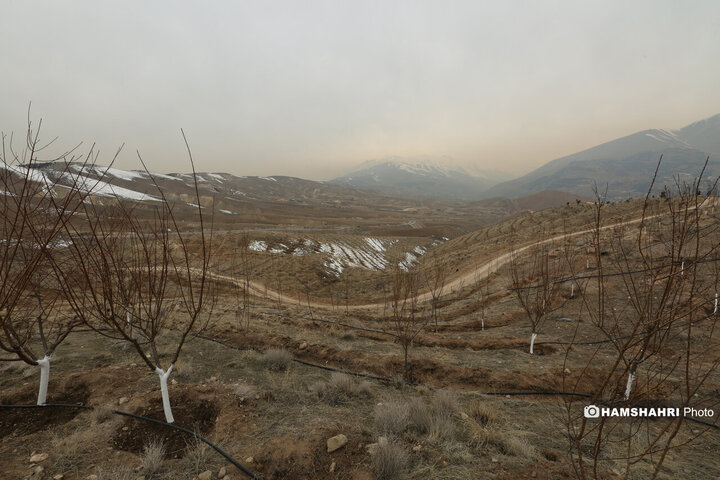 افتتاح کمربند سبز تهران باحضور قالیباف و زاکانی