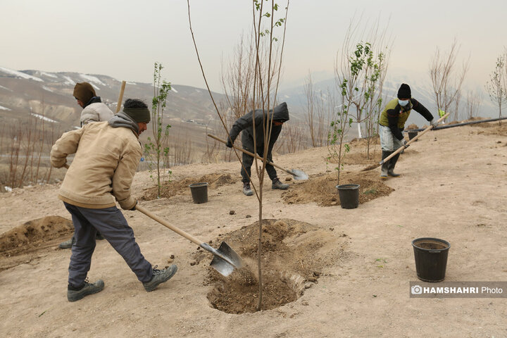 افتتاح کمربند سبز تهران باحضور قالیباف و زاکانی