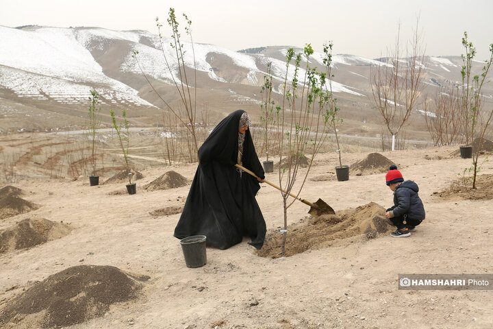 افتتاح کمربند سبز تهران باحضور قالیباف و زاکانی
