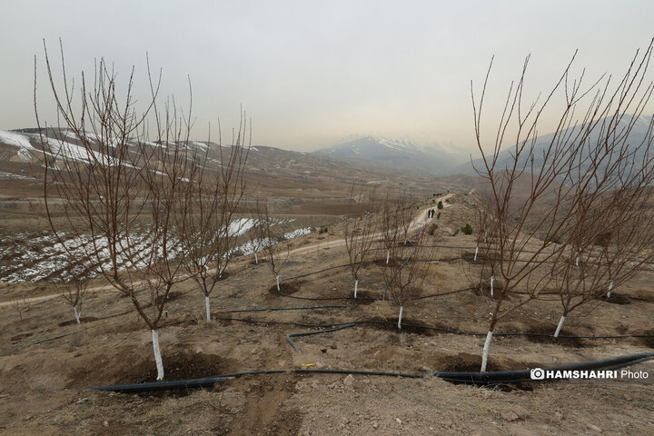 افتتاح کمربند سبز تهران باحضور قالیباف و زاکانی