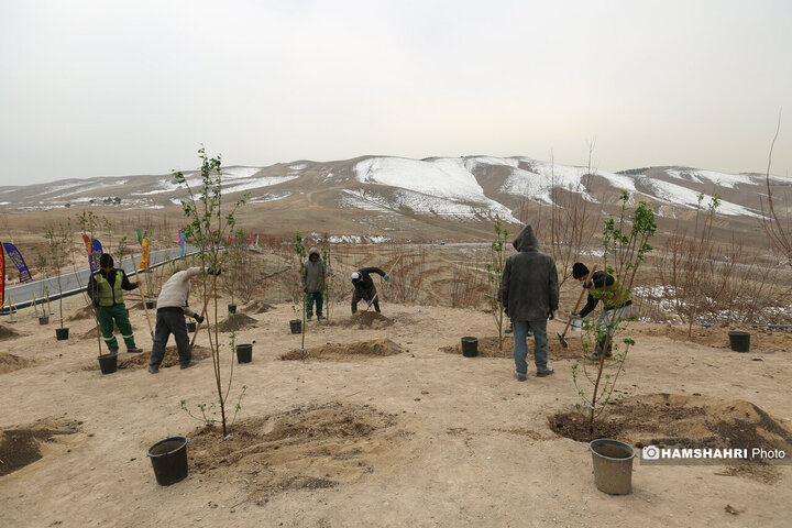 افتتاح کمربند سبز تهران باحضور قالیباف و زاکانی