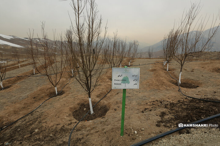 افتتاح کمربند سبز تهران باحضور قالیباف و زاکانی