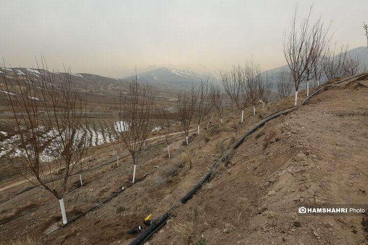 افتتاح کمربند سبز تهران باحضور قالیباف و زاکانی