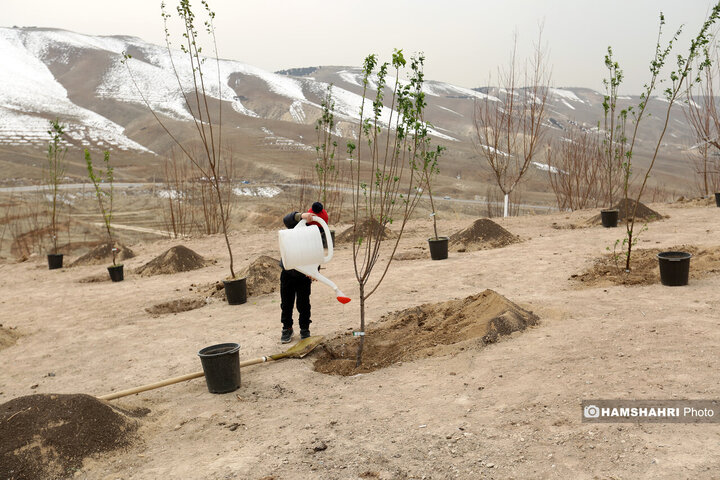 افتتاح کمربند سبز تهران باحضور قالیباف و زاکانی