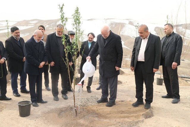 درختکاری