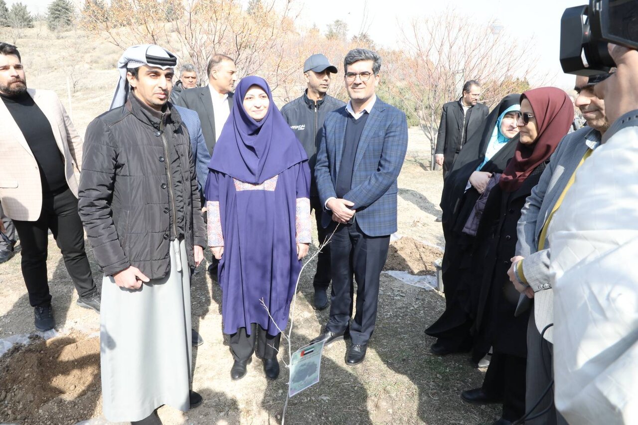 درختکاری سفرا