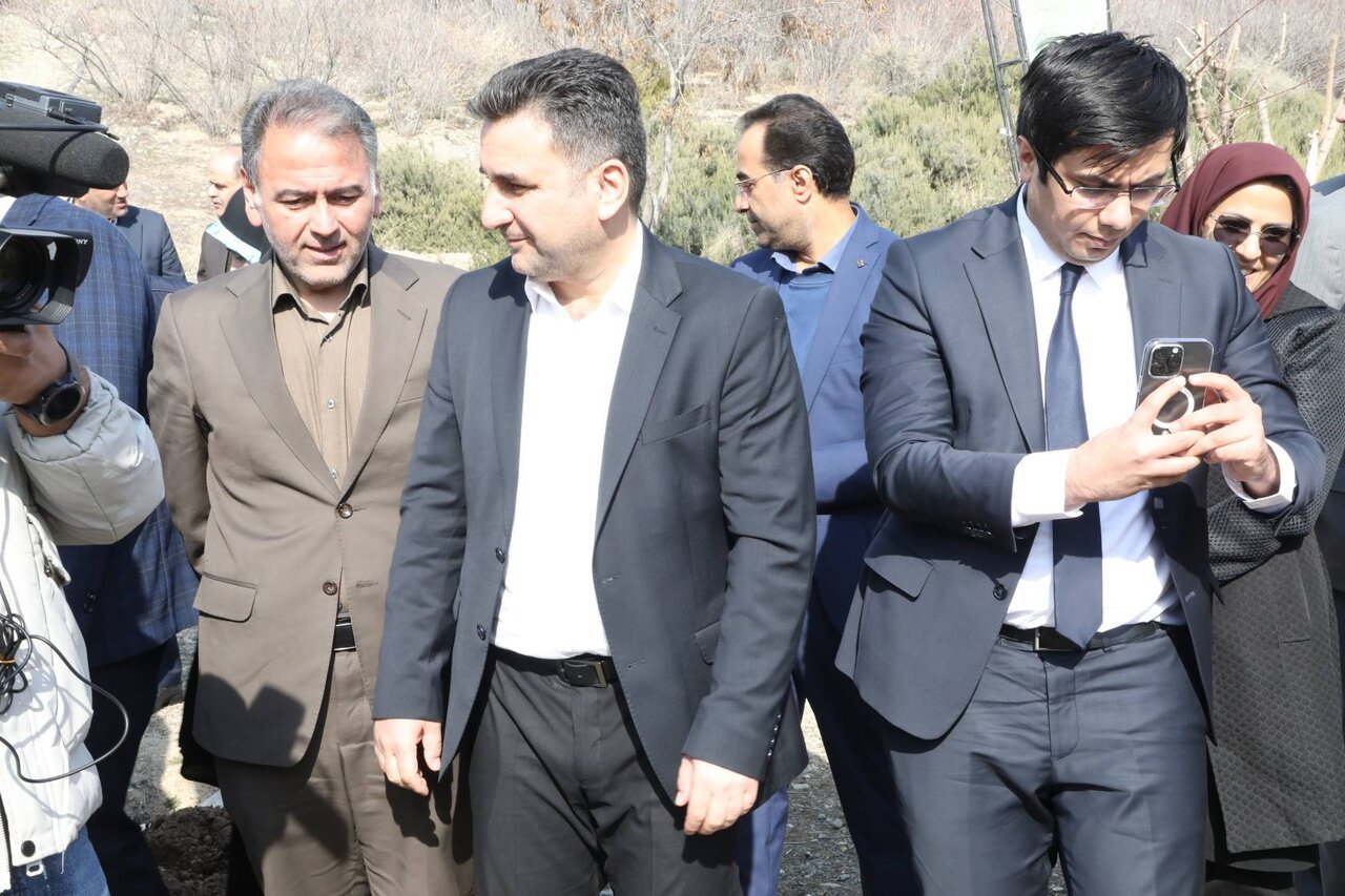 درختکاری سفرا