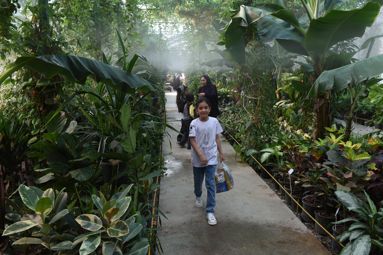 سفر رایگان به قارهها و جنگل های استوایی