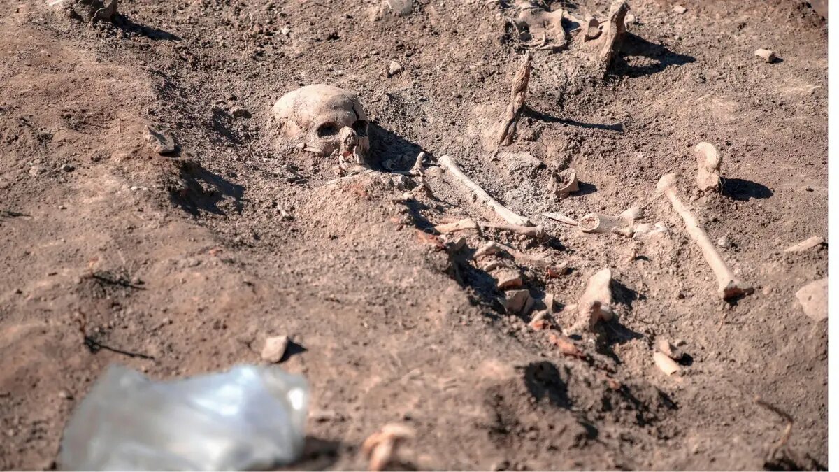 ۱۷۰۰۰ سال انتظار برای افشای یک راز | نوزاد چشمآبی عصر یخبندان