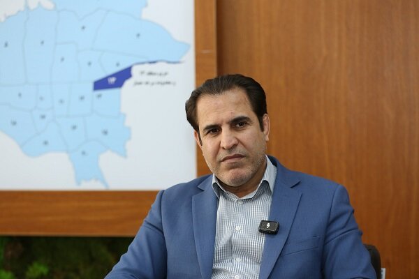 نجات درختان سرخهحصار | سوسک پوستخوار بعضی از کاجها را کاملا خشک کرد