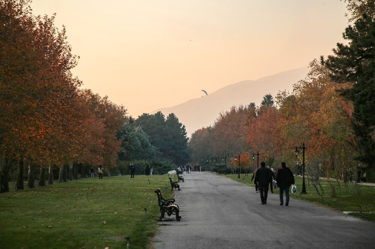 بانک بذرهای کمیاب اینجاست | از جنگلهای هیرکانی تا طبیعت هیمالیا