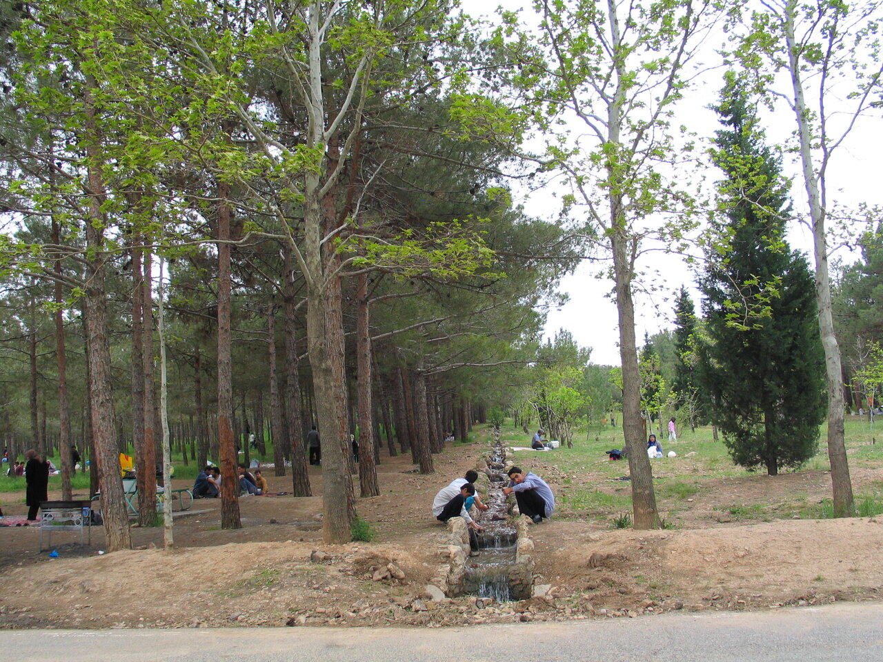 شکارگاه سلطنتی پاتوق شهروندان تهرانی