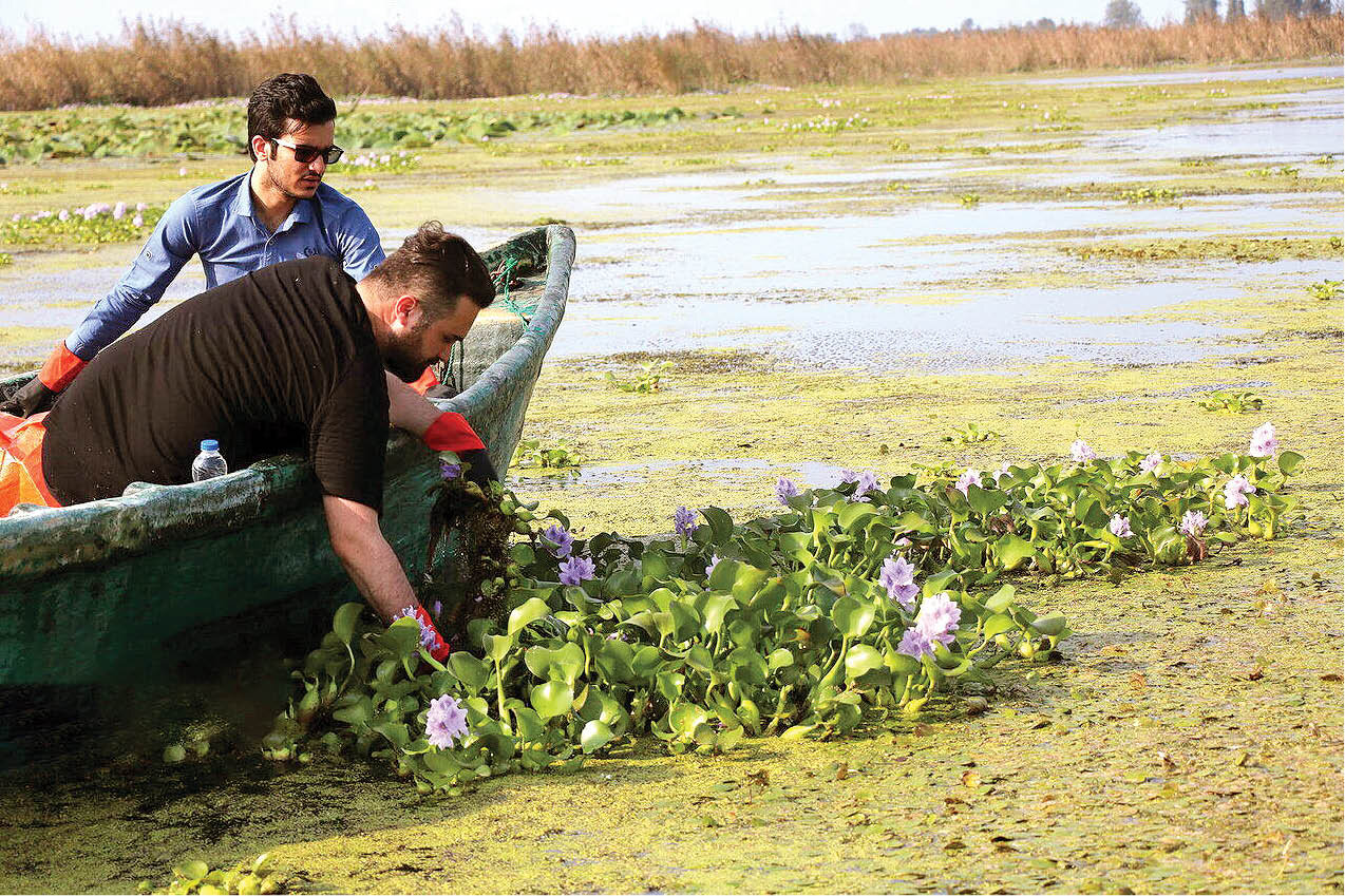 آیا میتوان تالاب انزلی را شیطان زیبا پاک کرد؟