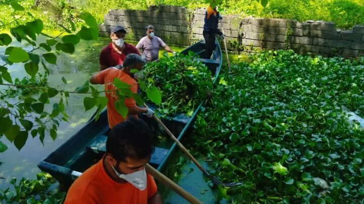 آیا میتوان تالاب انزلی را شیطان زیبا پاک کرد؟