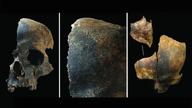 جنایت وحشتناک ۴۰۰۰ سال پیش در بریتانیا دانشمندان را متحیر کرده است