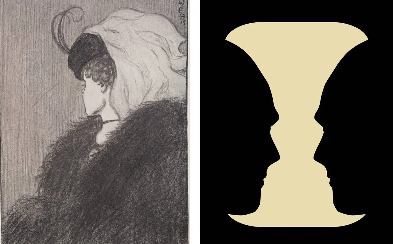 تصاویر دوگانه مبهم ویژگیهای شخصیتی ما را آشکار میکنند؟ | عکس