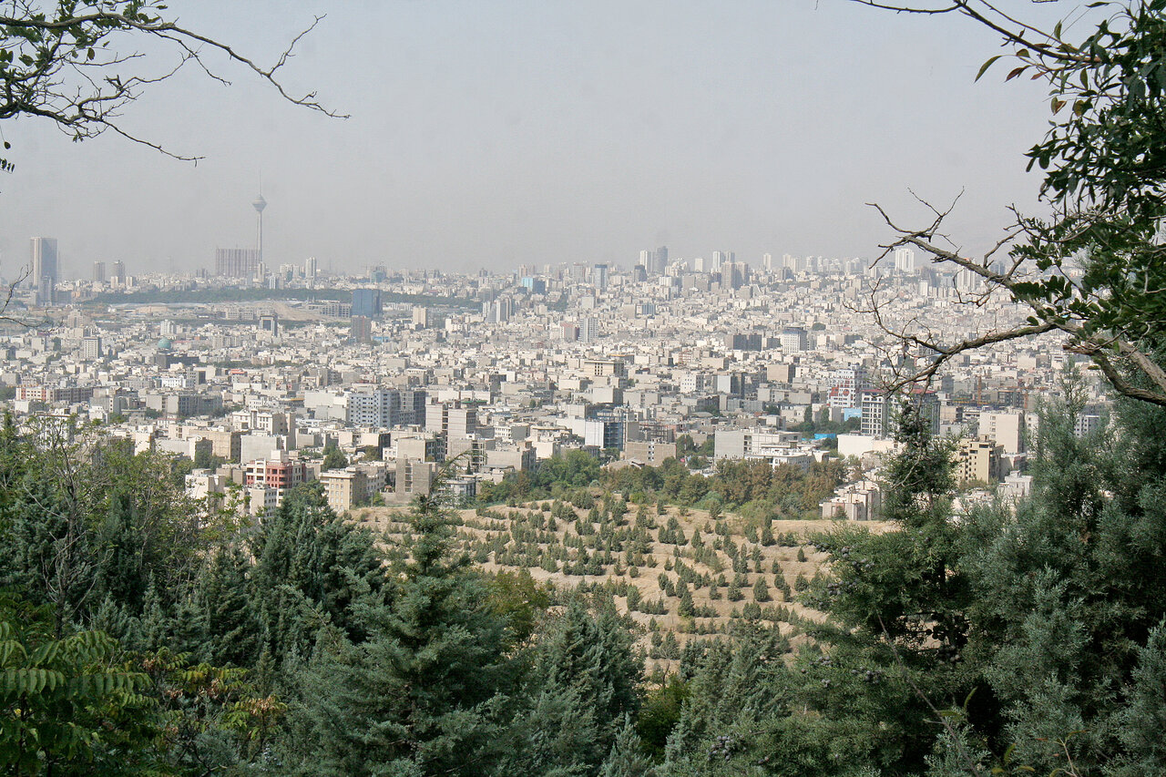 رمزگشایی از نام قدیمیترین جنگلهای مصنوعی پایتخت