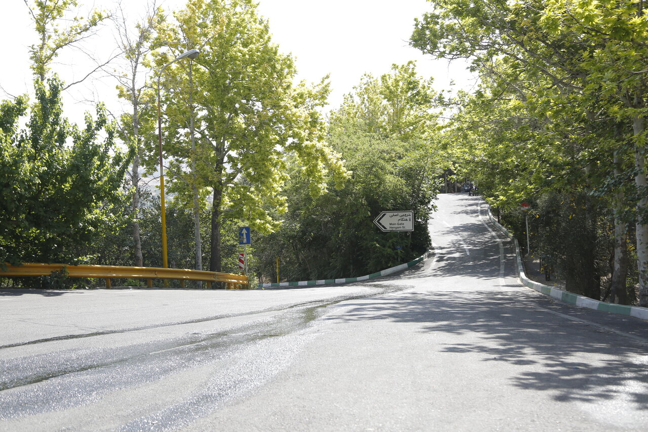 رمزگشایی از نام قدیمیترین جنگلهای مصنوعی پایتخت