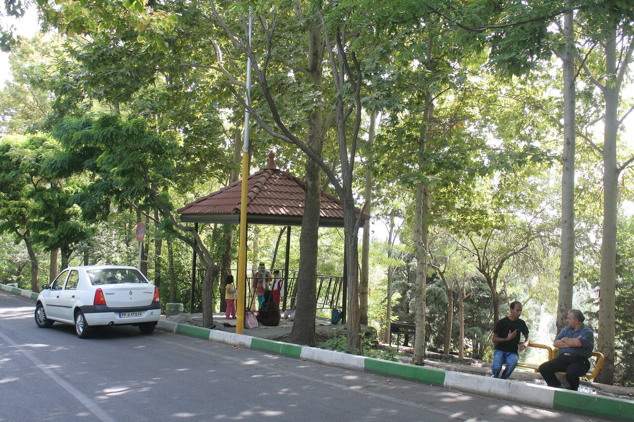 رمزگشایی از نام قدیمیترین جنگلهای مصنوعی پایتخت