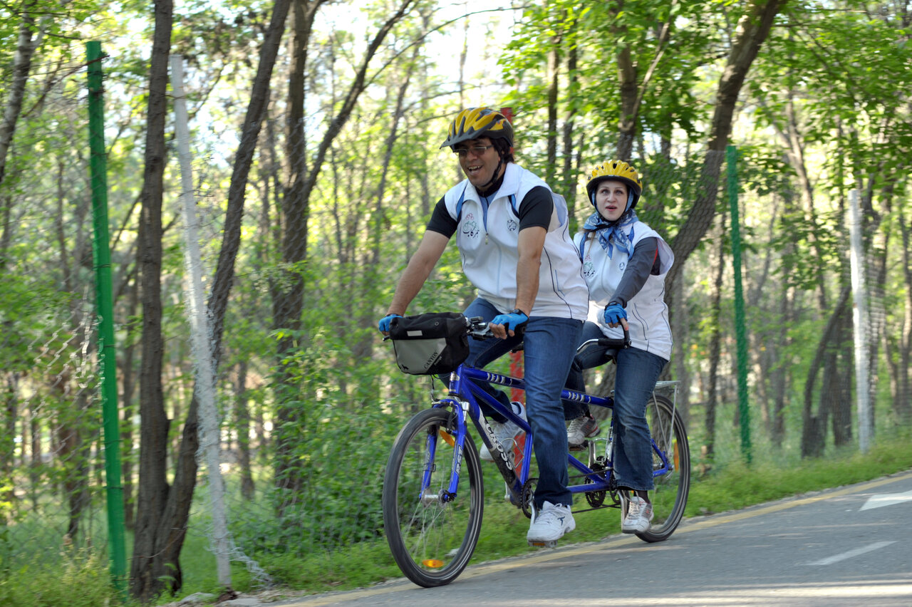 درخت های این جنگل را اهالی قلعه کاشتند