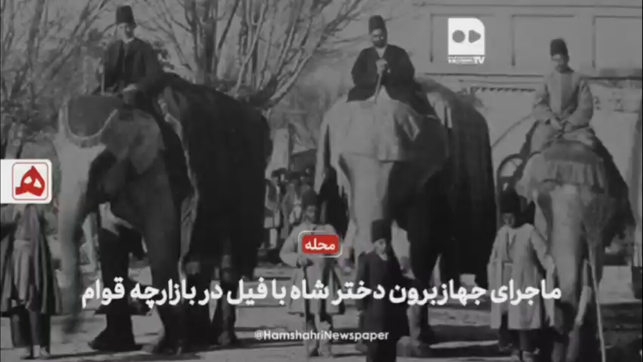 فیلم | ماجرای جهازبرون دختر شاه با فیل در بازارچه قوام