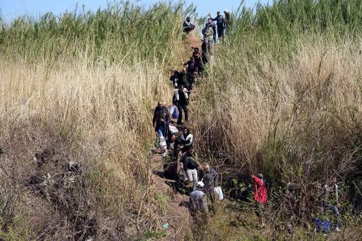 فرار خانوادههای سوری به سمت مرزهای لبنان | تصاویر