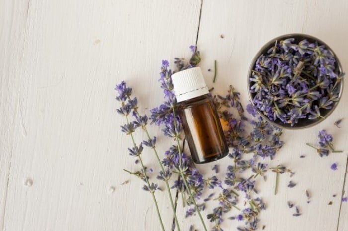 راهکارهای طلایی برای رفع بوی نامطبوع فرش