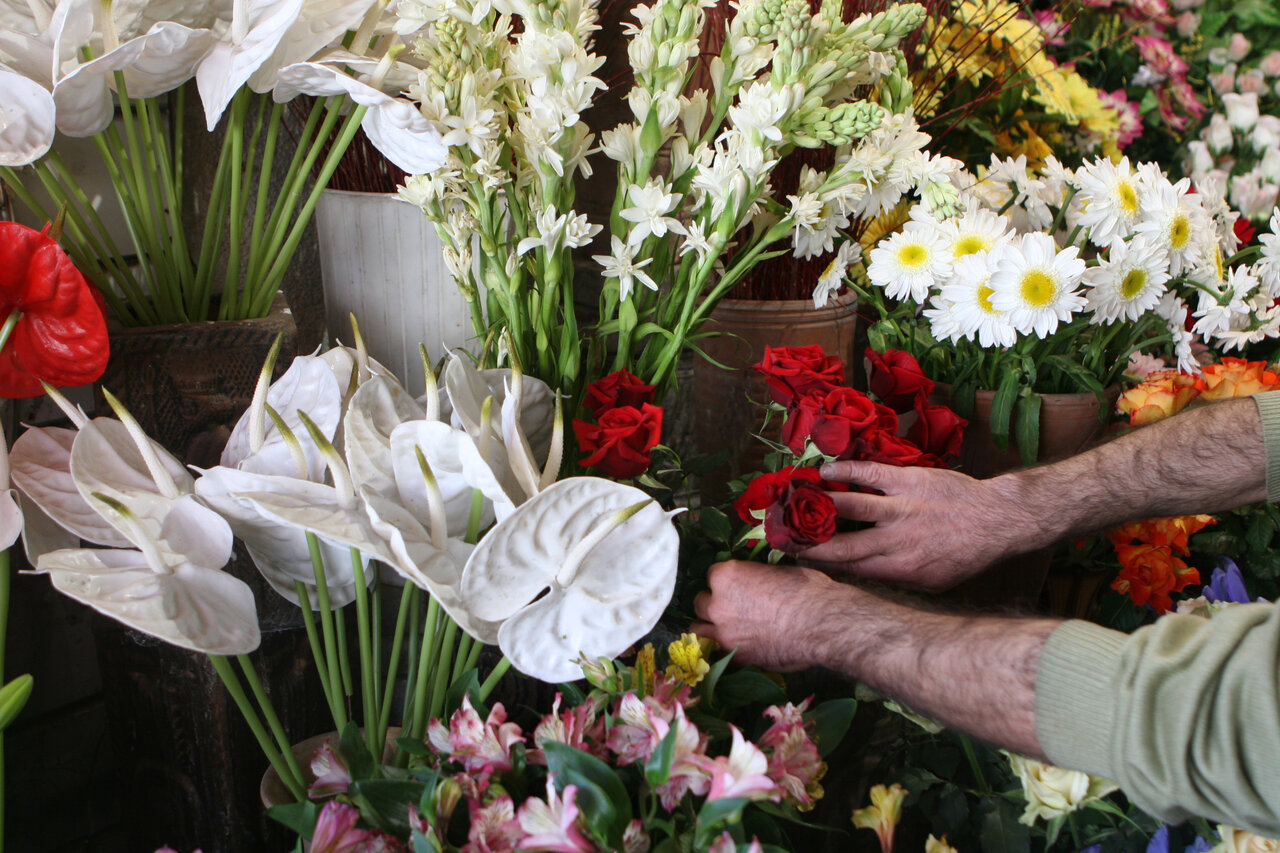 نوروز با طعم گل و قصه|از گل های بادوام تا گل محبوب مادرزن