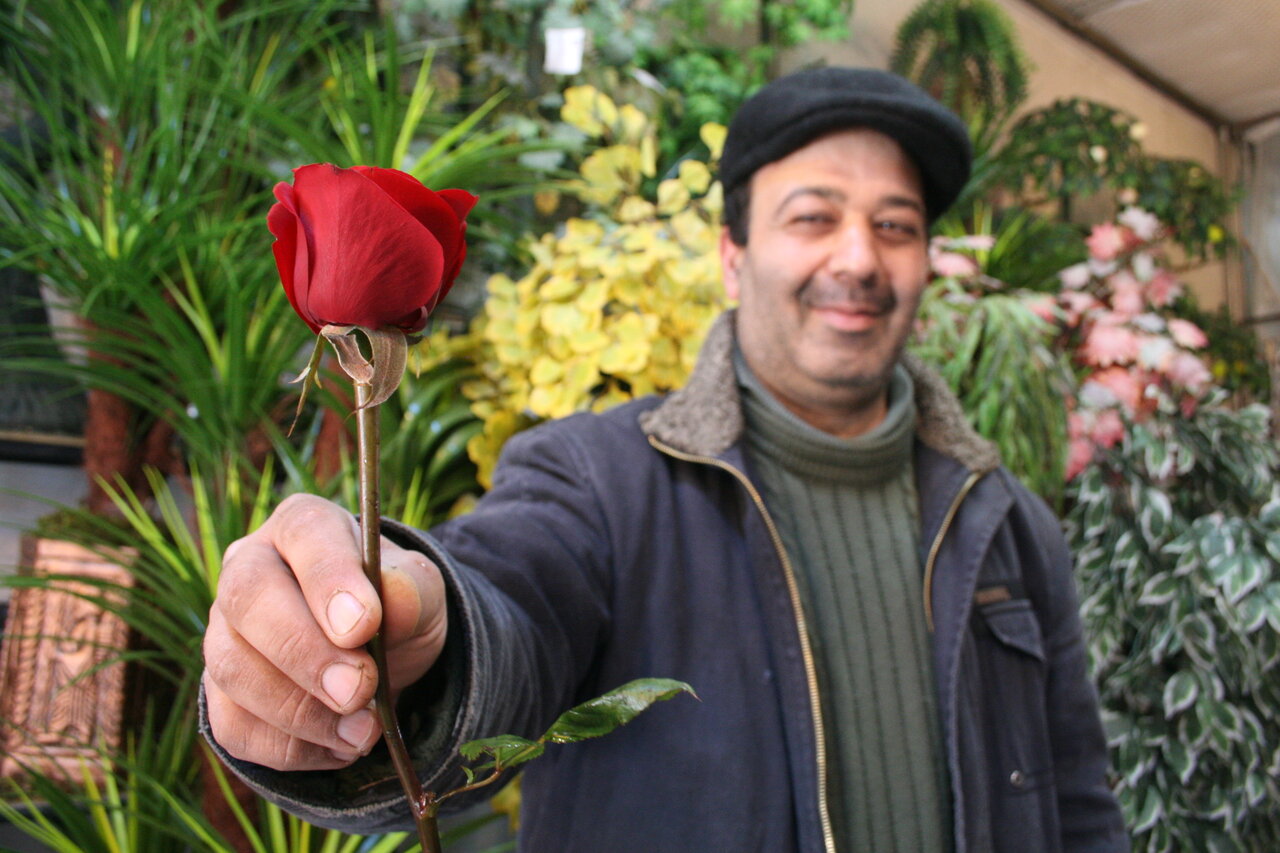 نوروز با طعم گل و قصه|از گل های بادوام تا گل محبوب مادرزن