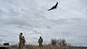 آماده صدور پهپاد به آمریکا هستیم