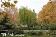 نیمکت های این پارک تلفن همراه تان را شارژ می کند