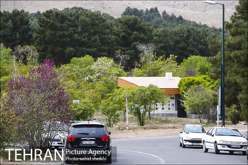 آمادگی کامل مدیریت شهری منطقه ۱۳ برای آیین سنتی سیزده‌بدر