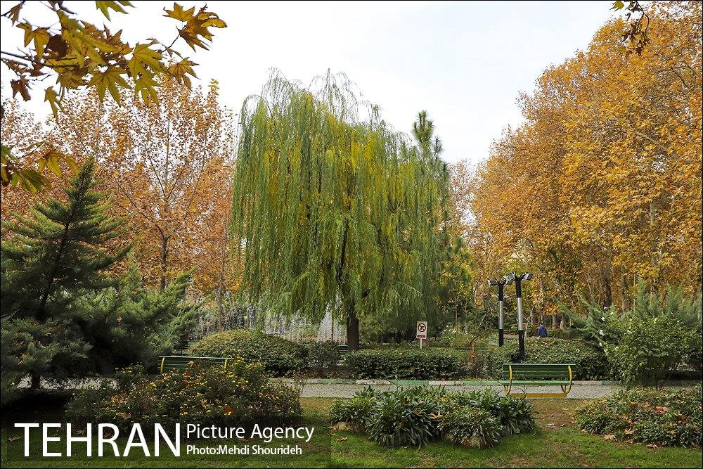 نیمکت های این پارک تلفن همراه تان را شارژ می کند