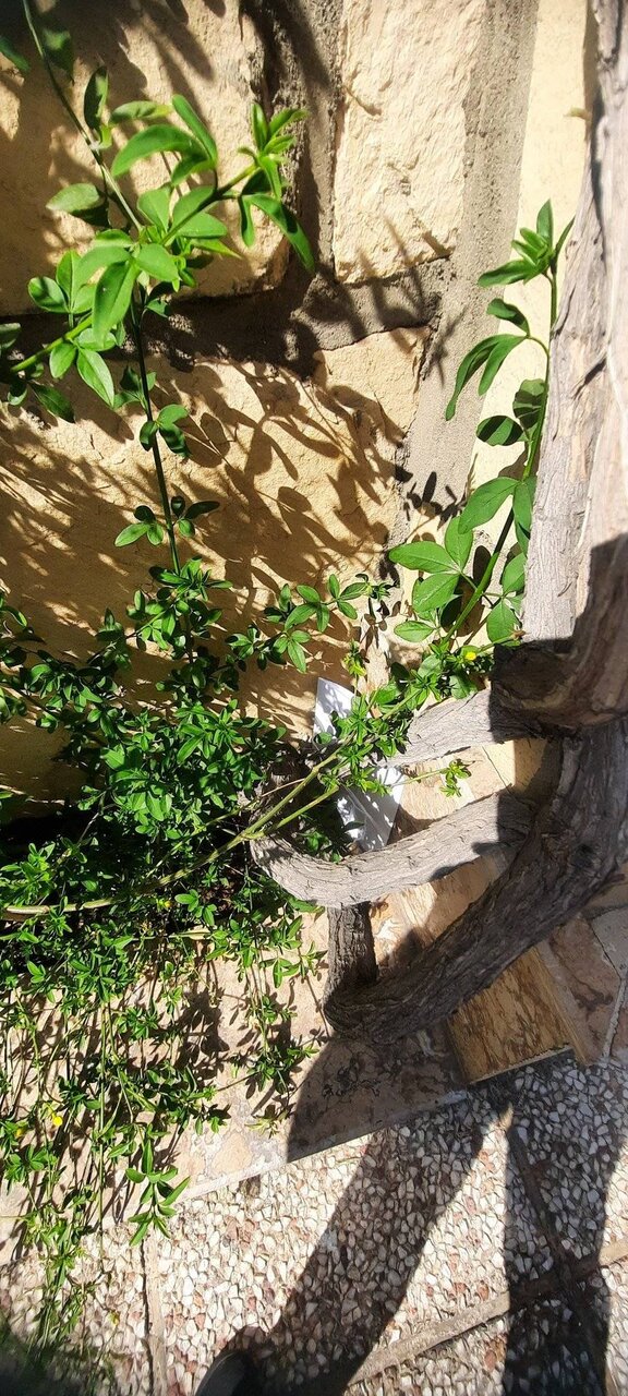 هدیه به شهر|درباره کمپین مردمی هنرمندانی که در ایام نوروز نقاشی هایشان را به مردم هدیه می دادند