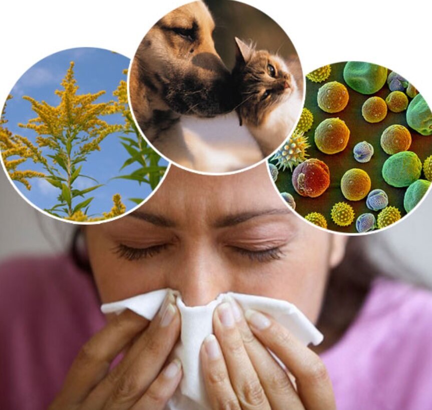 ۵ روش برای فرار از حساسیت بهاری