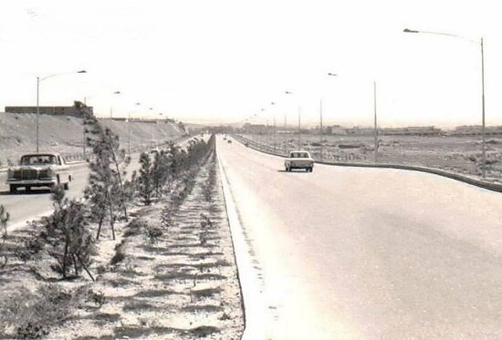 ماجرای هیجان انگیزخیابان برعکس تهران | چرا گاوها در این خیابان بالا و پایین میپریدند؟