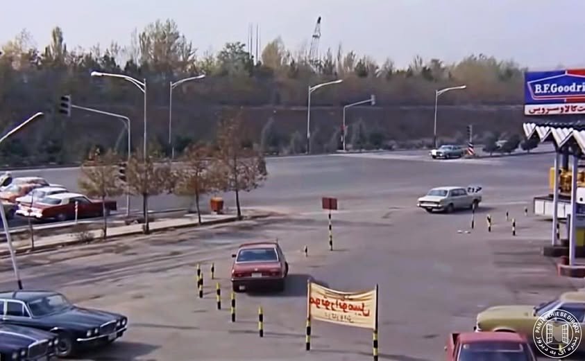 ماجرای هیجان انگیزخیابان برعکس تهران | چرا گاوها در این خیابان بالا و پایین میپریدند؟