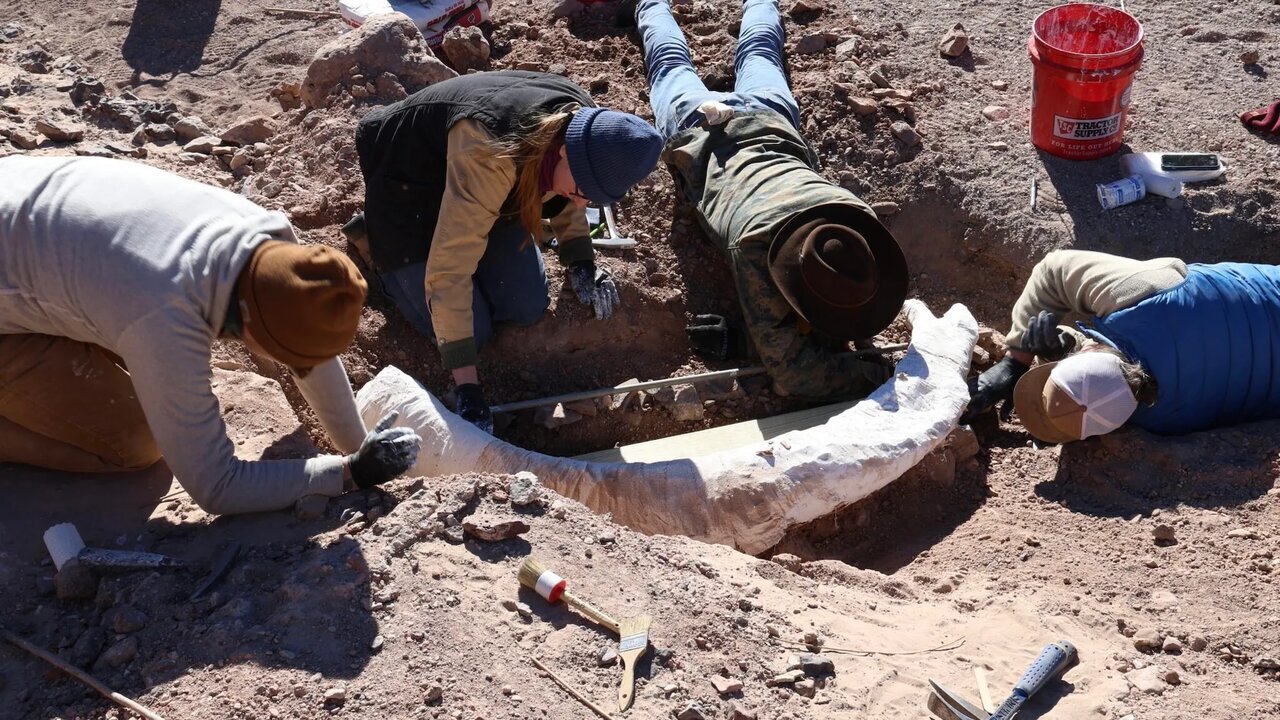 کنده درختی که گنج ۱۲ هزار ساله بود | عکس