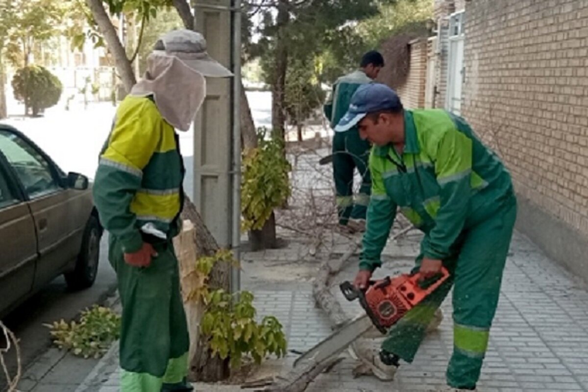 سبک سازی درختان