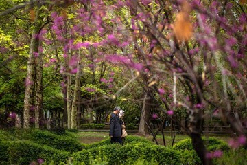 هشدار سیل برای ۷ استان | تهران باز هم هشدار گرفت