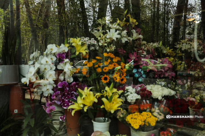 حال و هوای بهاری تهران