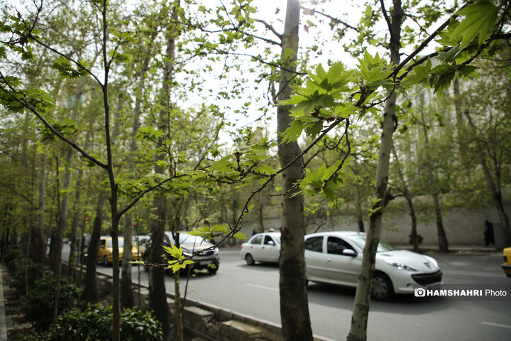 حال و هوای بهاری تهران