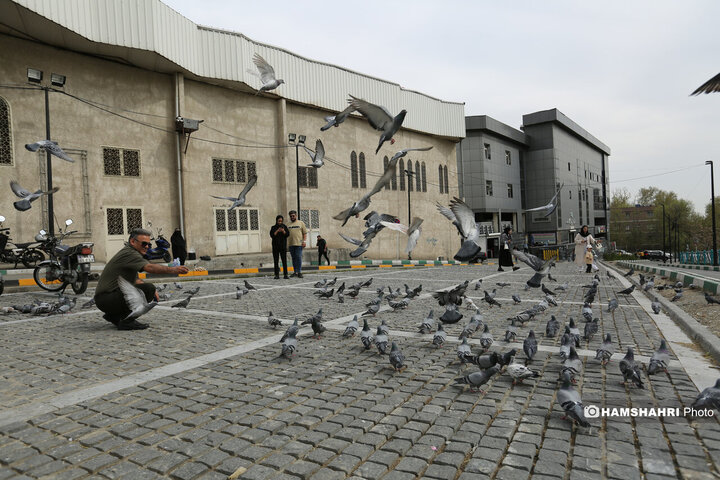 حال و هوای بهاری تهران