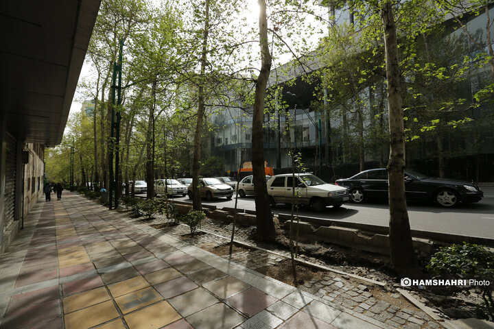 حال و هوای بهاری تهران