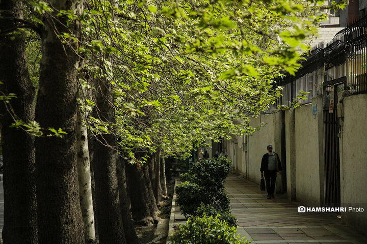 حال و هوای بهاری تهران