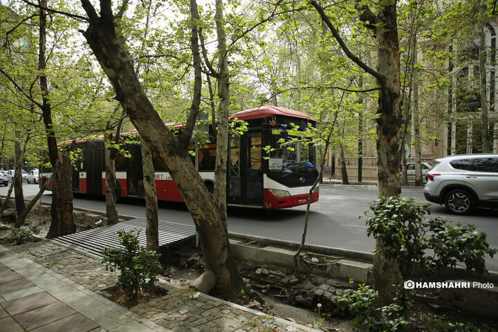 حال و هوای بهاری تهران