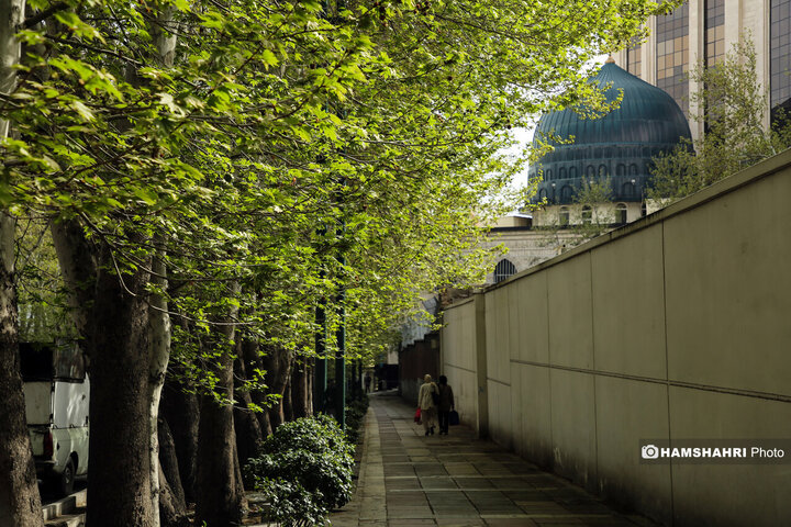 حال و هوای بهاری تهران